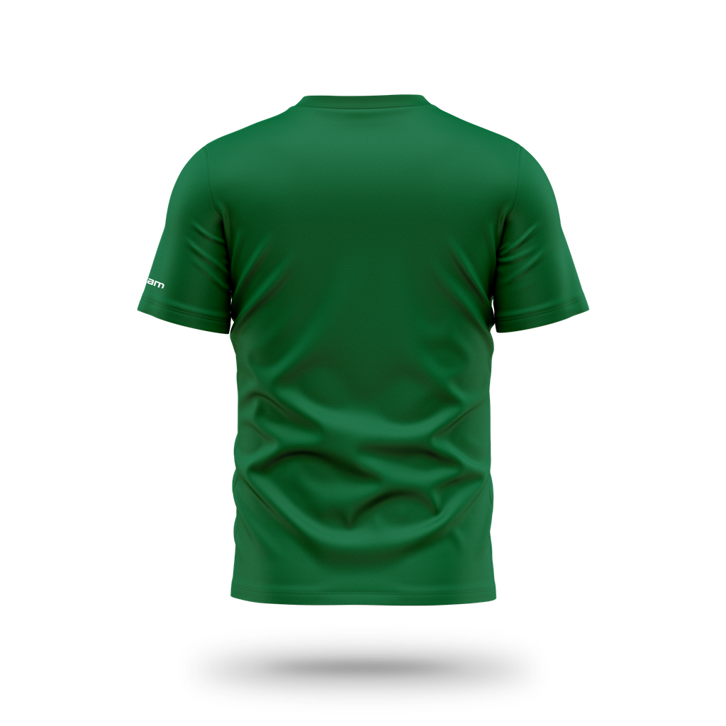 BASIC T-SHIRT 01 H - Vert