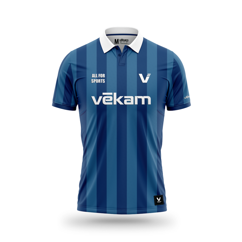 VEKAM PREMIUM Polo - Blue Stripes