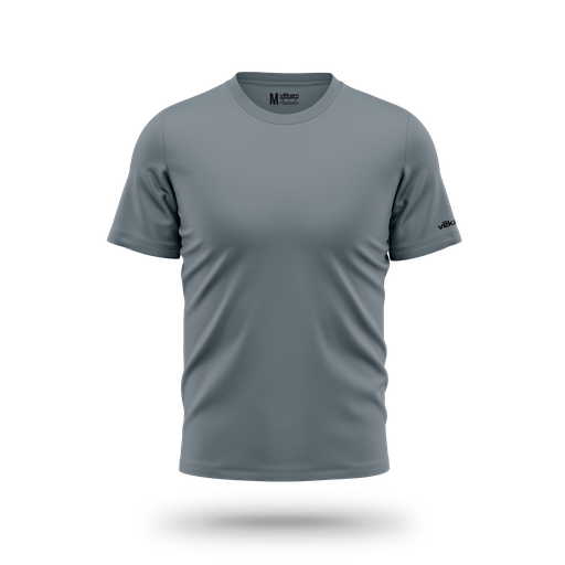 BASIC T-shirt 01 H - Gris